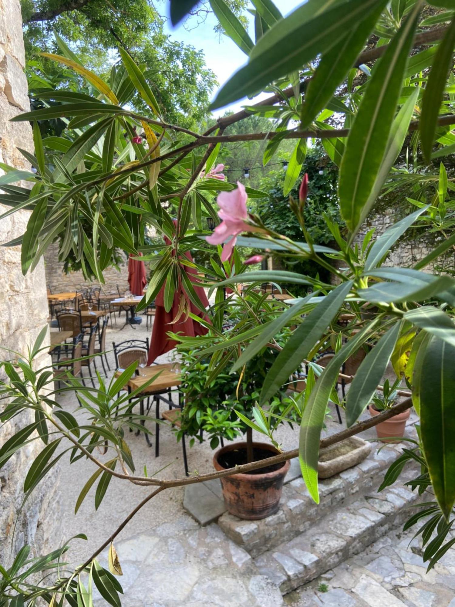 Hotel Restaurant Clos Des Sullys Montclus  Εξωτερικό φωτογραφία